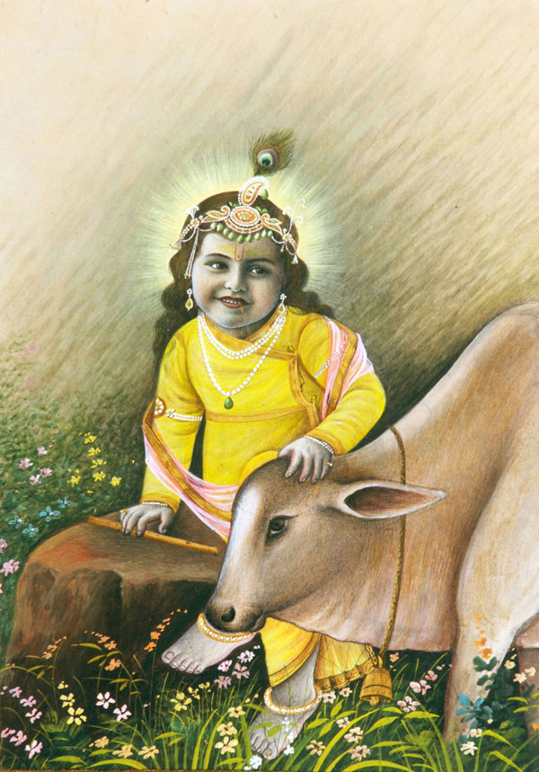 Gau Seva Trust
