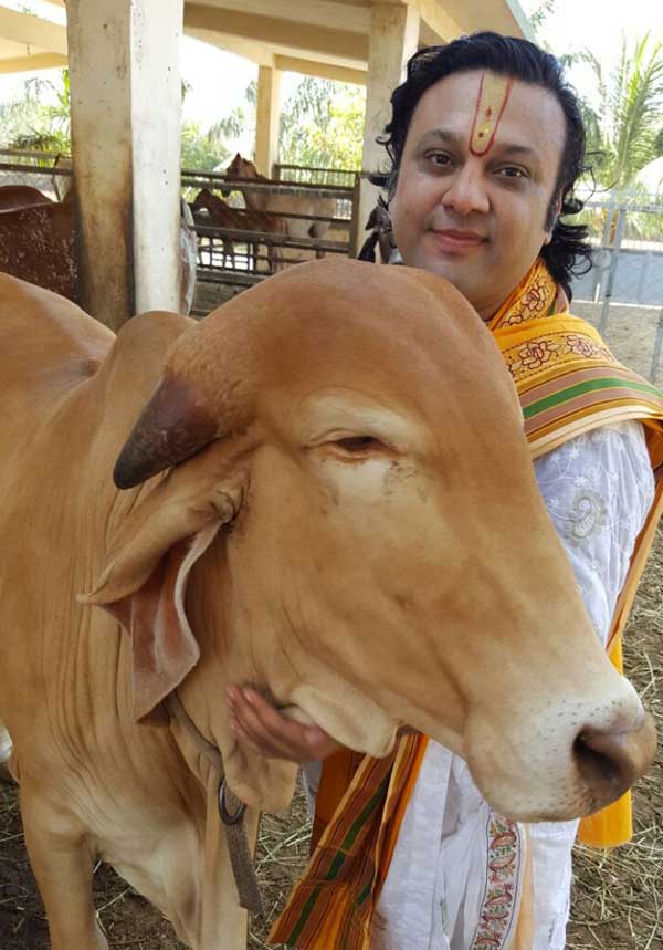 Cow Guardian - Gokul